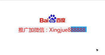 鼎力中國，飽倍兒崛起 享瘦生活新風(fēng)尚與代理咨詢服務(wù)解析
